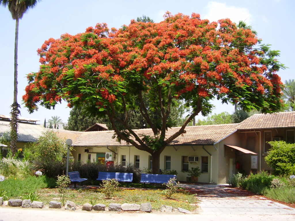 Degania, primul kibbutz evreiesc din istorie