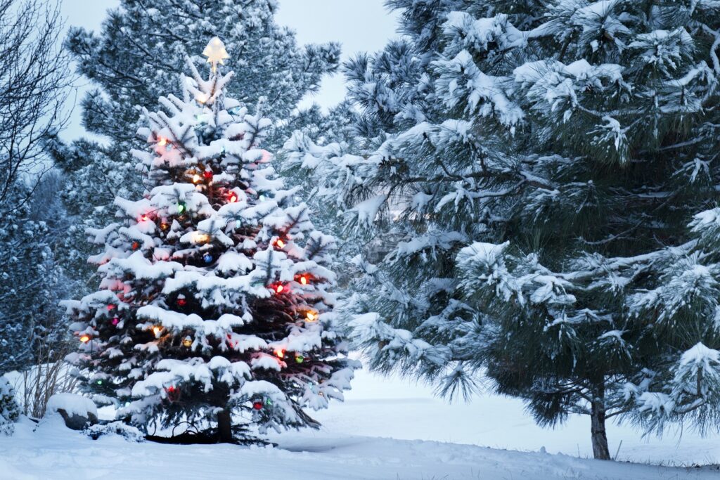 Crăciun cu zăpadă, în București! Vești incredibile despre vreme