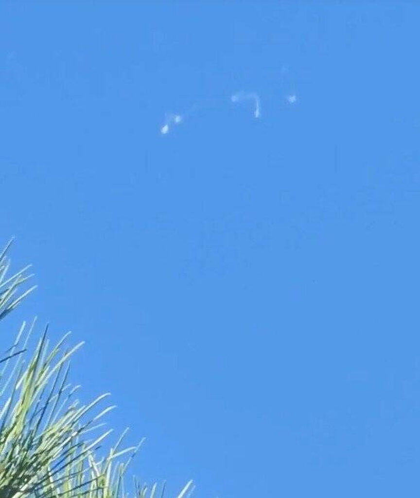 Cocoloașe de pânză de păianjen cad din cer în California. Explicațiile fenomenului