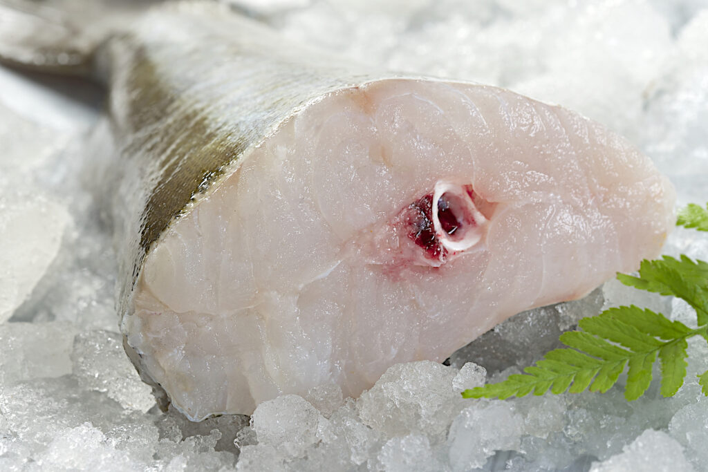 Pangasius, peștele toxic interzis în multe țări europene. Ce fel de metale grele conține