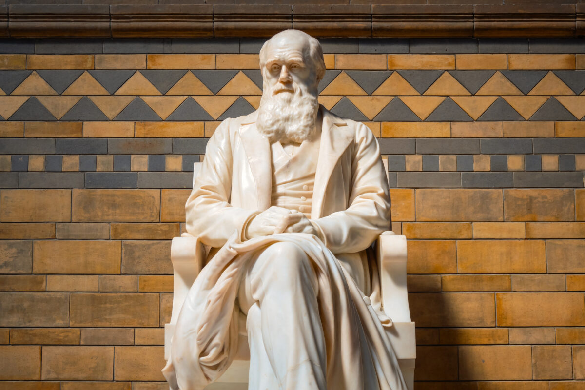 Acum 164 de ani, pe 24 noiembrie 1859, Charles Darwin a publicat „Originea Speciilor”