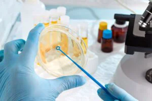 Progres în lupta cu boala Lyme. Antibiotic revoluționar, testat cu succes