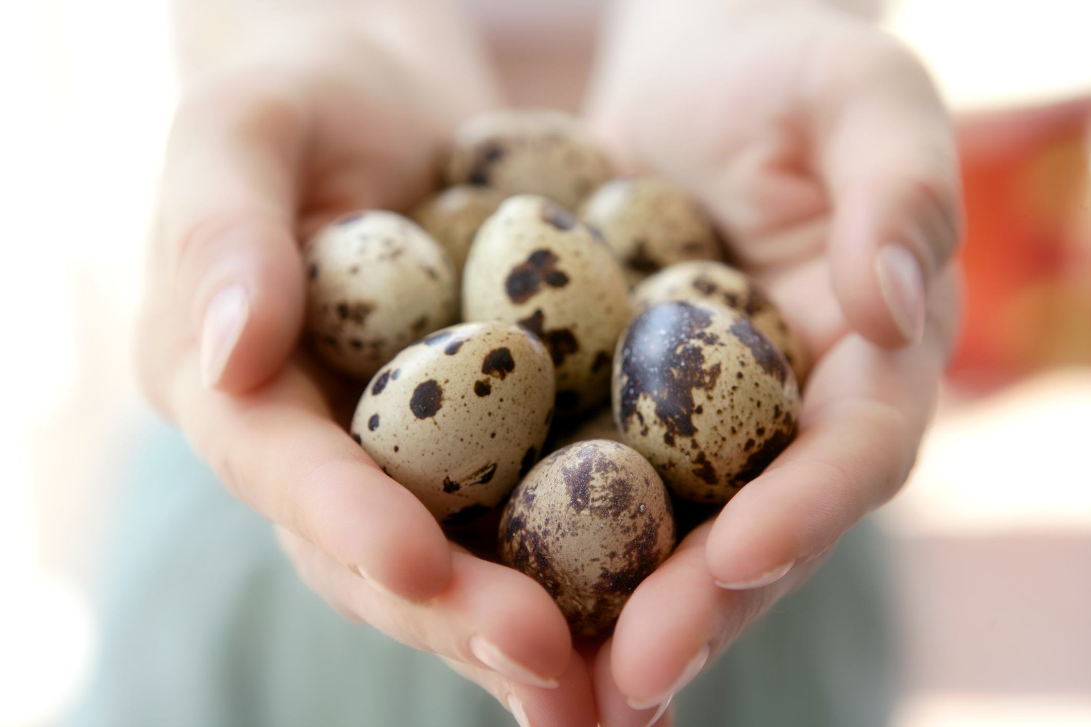 Cum să ții ouăle mai mult timp proaspete