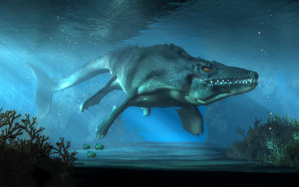 Au fost găsite fosilele unui „dragon” în Japonia
