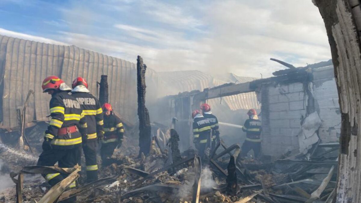 Incendiu de la Ferma Dacilor. Doi frați și tatăl lor au pierit în flăcări. Mesajul CSA Steaua. Update