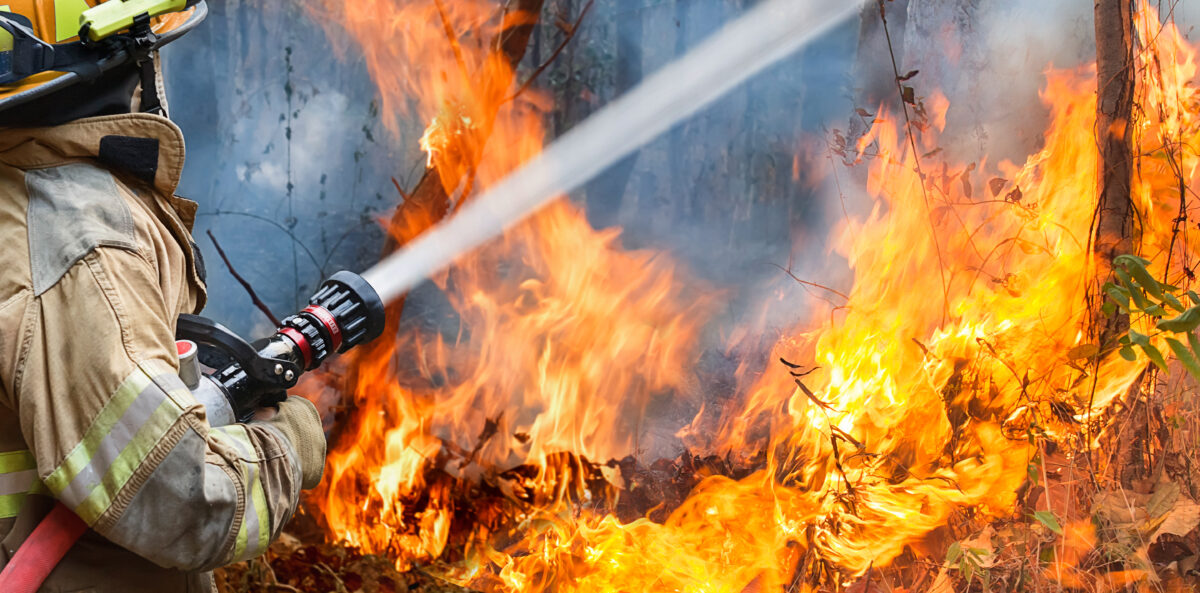 România primește fonduri europene pentru a combate incendiile forestiere
