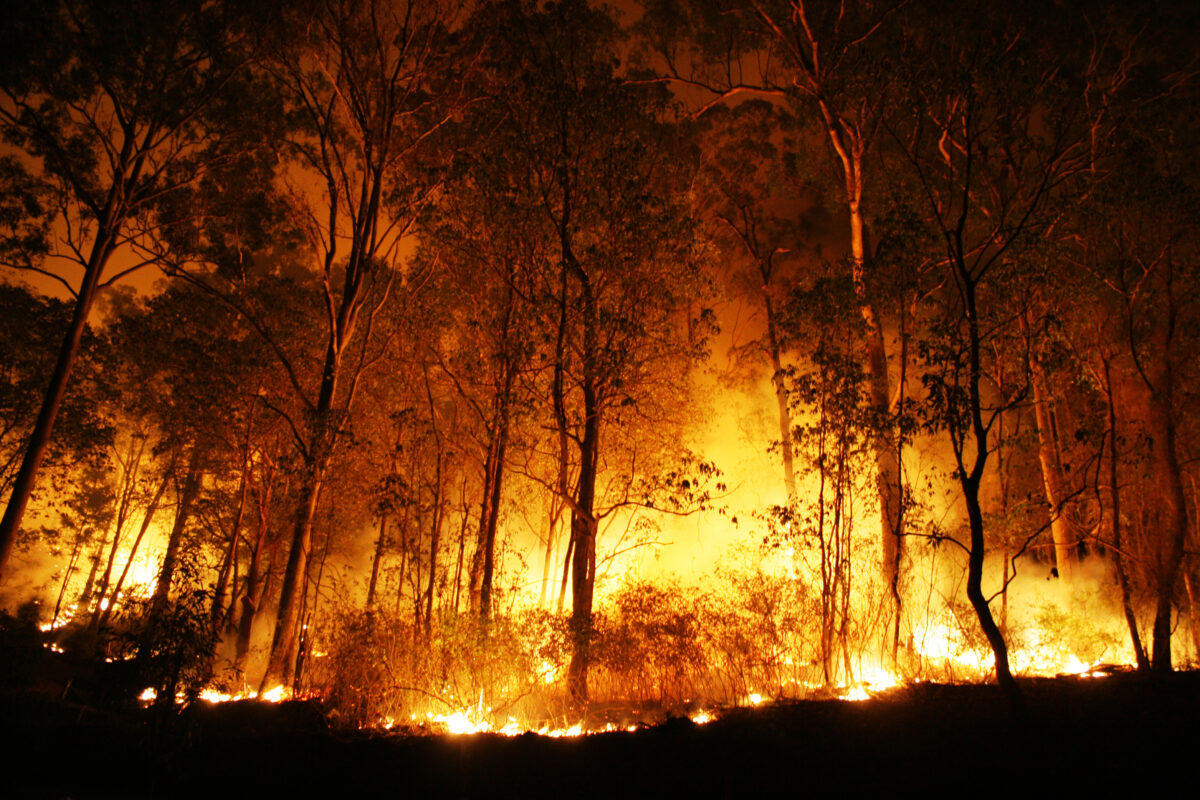 Incendiu de pădure în Bacău. Au fost trimise două aeronave Spartan