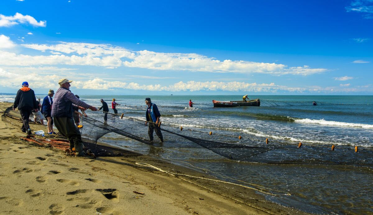 Pescarii bulgari protestează față de eolienele din mare