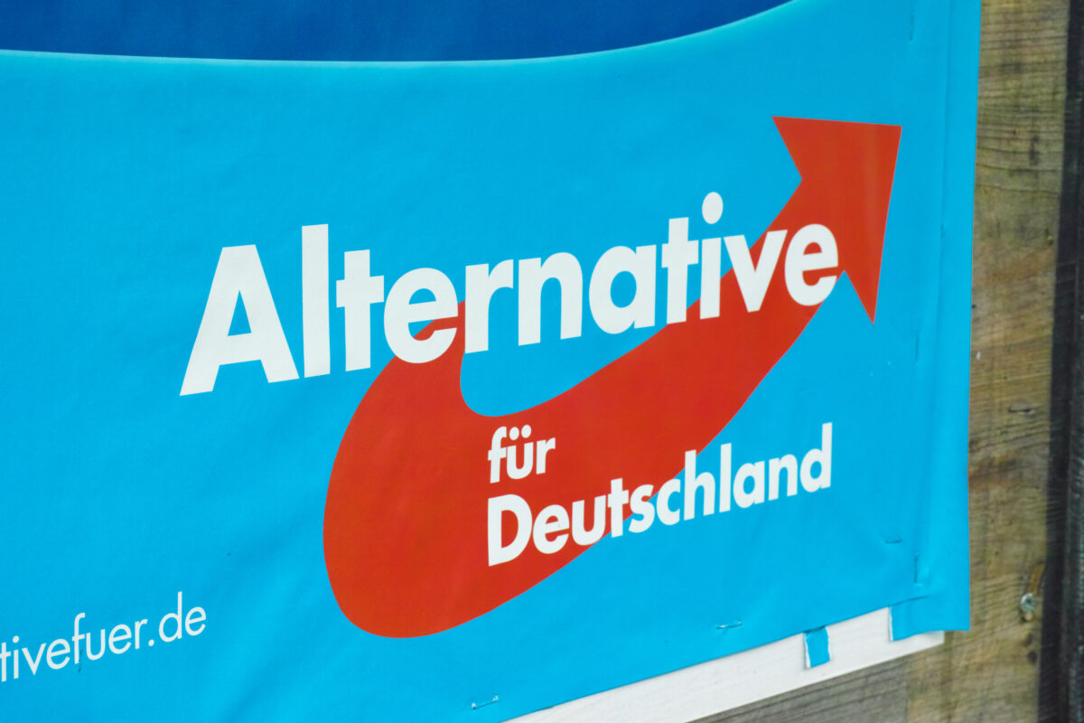 Social-Democrații germani vor să interzică AfD