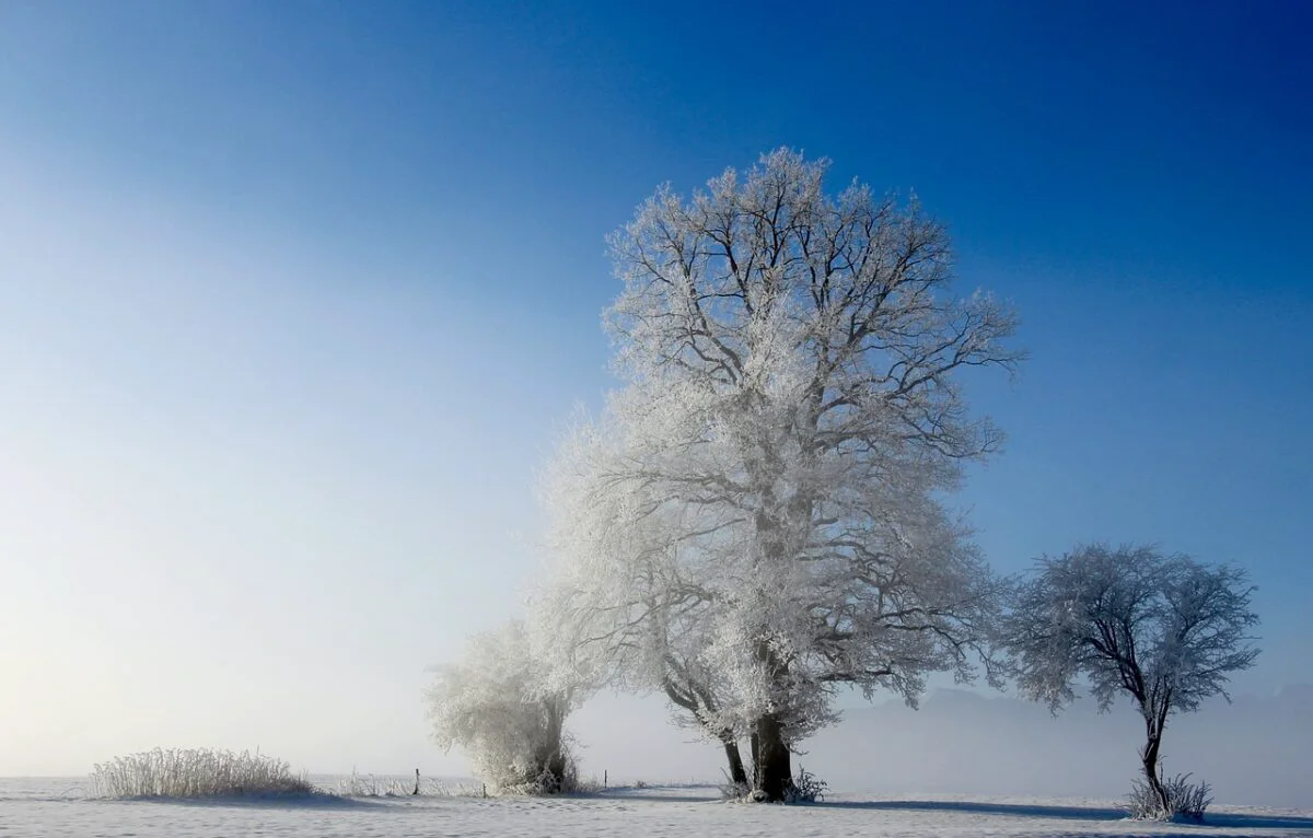Vremea în Republica Moldova. Dispar ninsorile, dar persistă gerul. Temperaturile pe regiuni