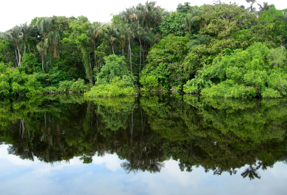 Rețea arheologică masivă descoperită în pădurea amazoniană