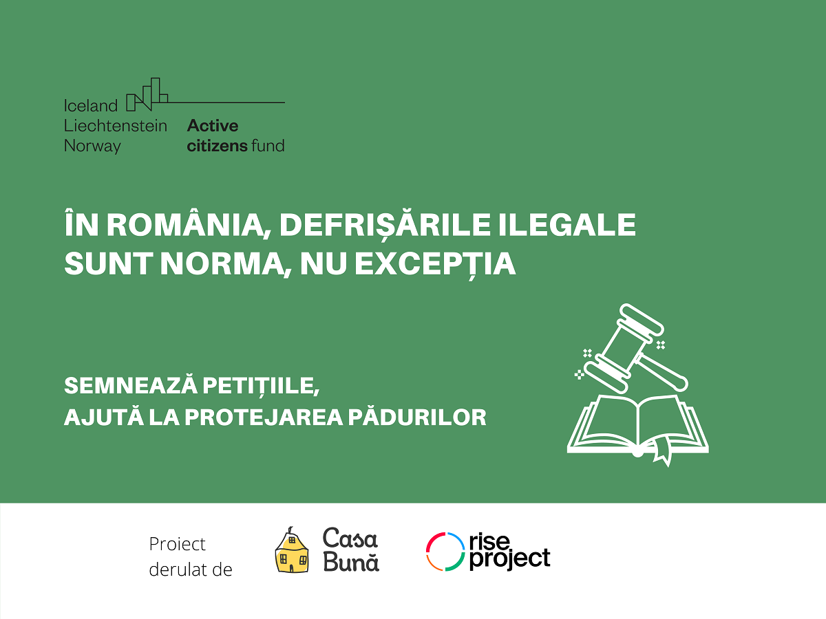 Încrengăturile de interese pentru pădurile României