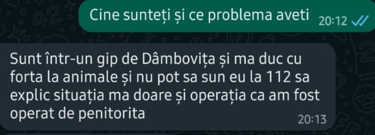 Tânăr răpit, salvat ca prin minune de Salvamont, după mesaje trimise la întâmplare