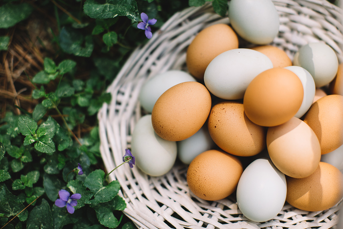Cum să menții prospețimea ouălor pentru mai mult timp. „Rețeta americană” este cea mai bună