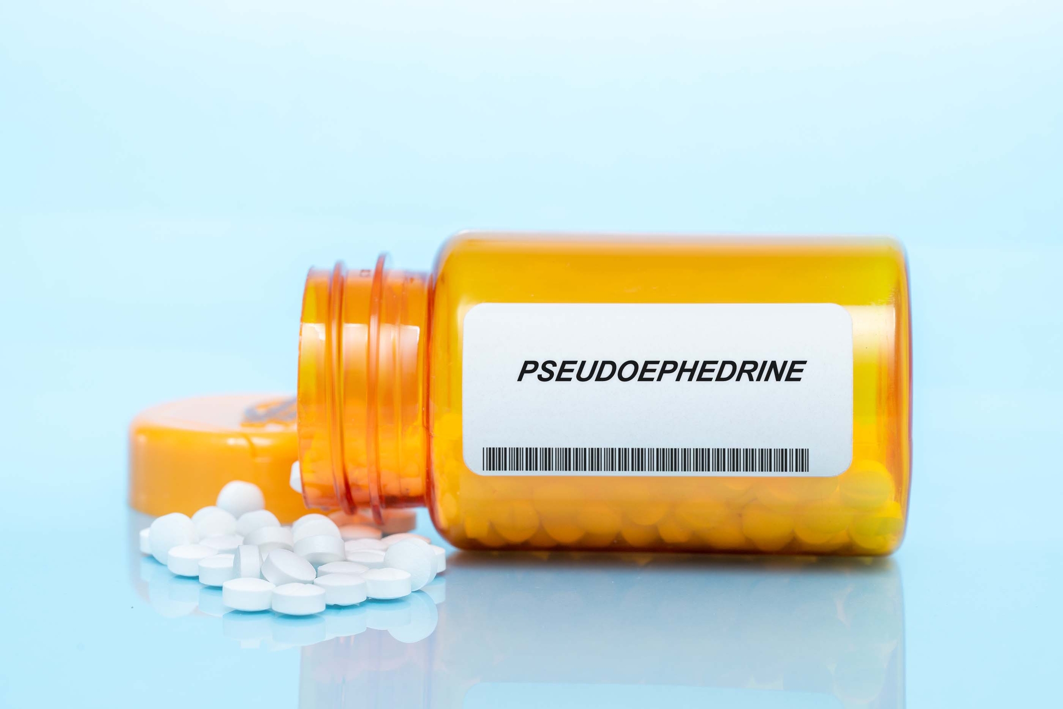 pseudoefredina