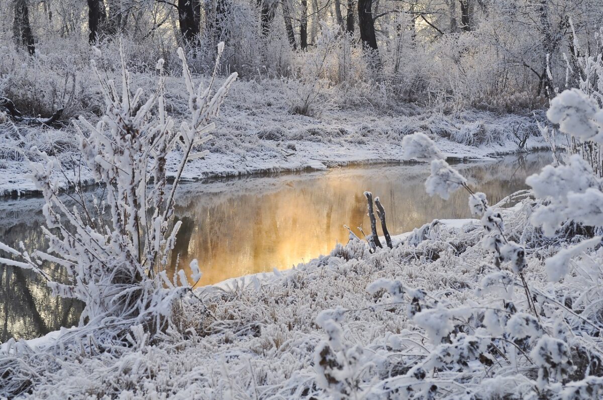 Prognoza meteo, 11 ianuarie. Vreme rece, ninsori şi viscol