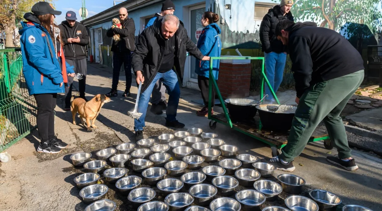 Adăpostul Speranța. Eveniment inedit pentru iubitorii de animaleMarea provocare la care sunr așteptați iubitorii de animale va avea loc sâmbătă, 3 februarie, la Adăpostul Speranța din București. Voluntarii, angajații, iubitorii de animale vor găti o masă caldă pentru cei 500 de căței îngrijiți în cadrul adăpostului. „Vom găti o tocăniţă. Tăiem legumele, pregătim carnea, orezul. Înşirăm toate castroanele şi le oferim căţeilor o masă caldă.  Scopul nu este de a le oferi cățeilor o masă caldă, pentru că ei mai primesc şi în alte zile, ci vrem să le arătăm oamenilor că Adăpostul Speranța este deschis pentru cei care vor să adopte, să facă voluntariat sau să doneze", a declarat Anca Tomescu, reprezentant al unității Bucureștenii, provocați să gătească pentru câinii fără stăpân. Vedetele care se alătură inițiativei 