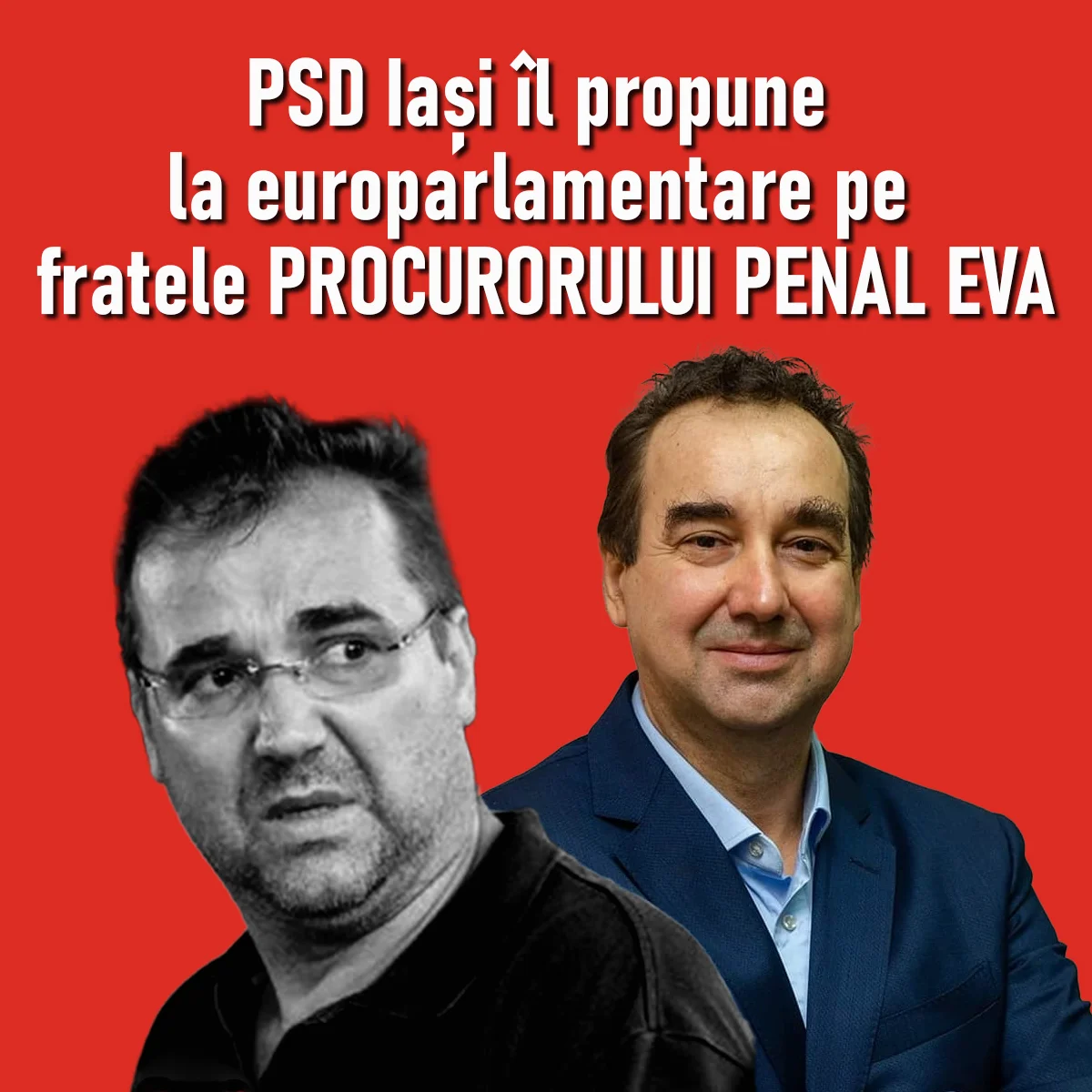 Candidatul PSD Iași pentru alegerile europarlamentare, un plagiator dovedit