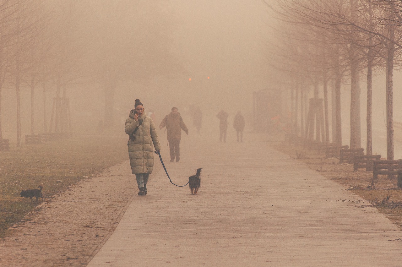 ceață, vremea, prognoza meteo