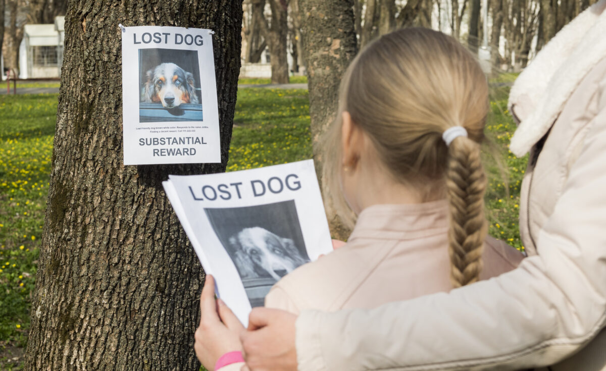 ASPA le ia banii oamenilor care își recuperează câinii pierduți