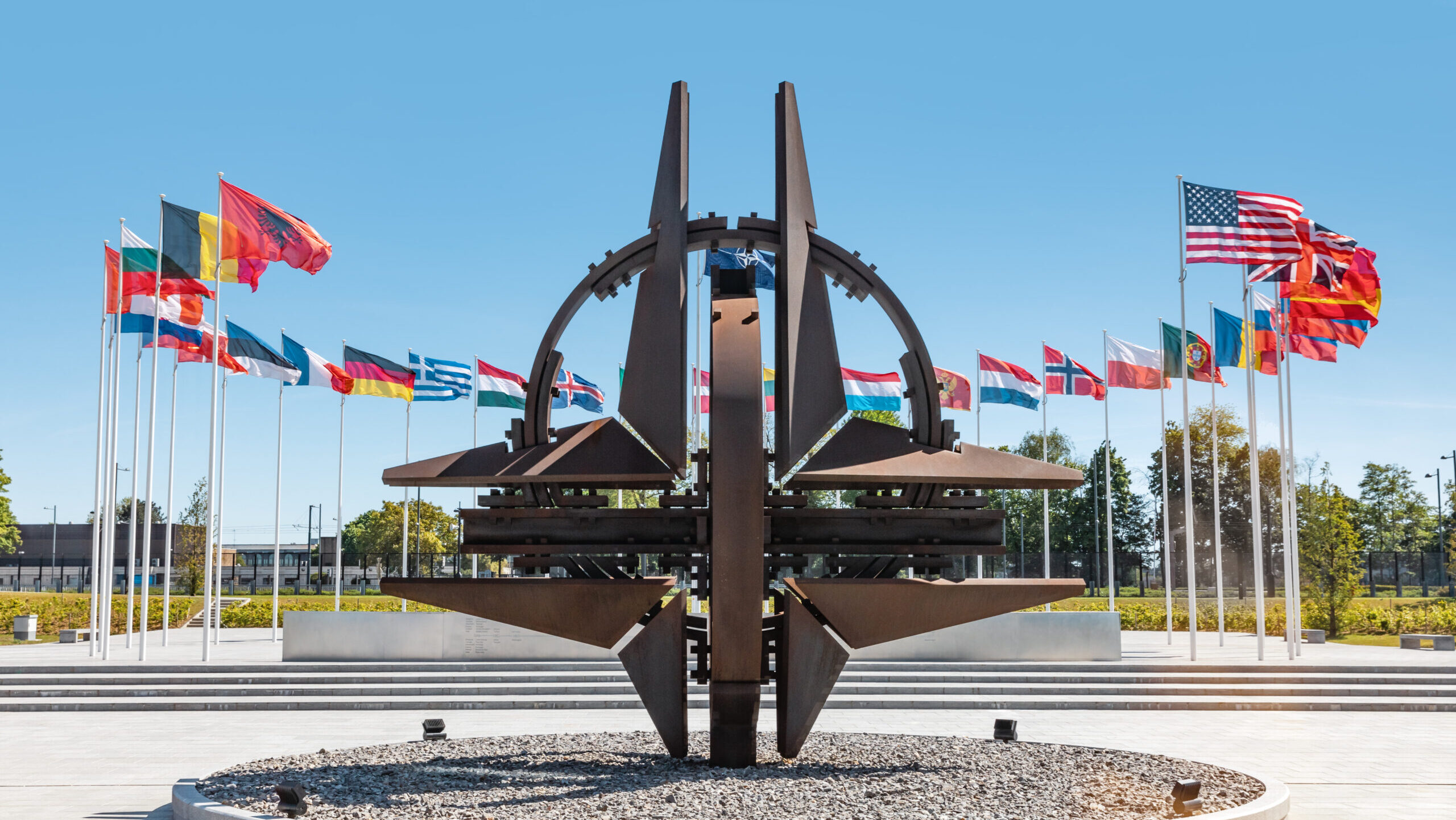 Parlamentul, declarație pentru NATO