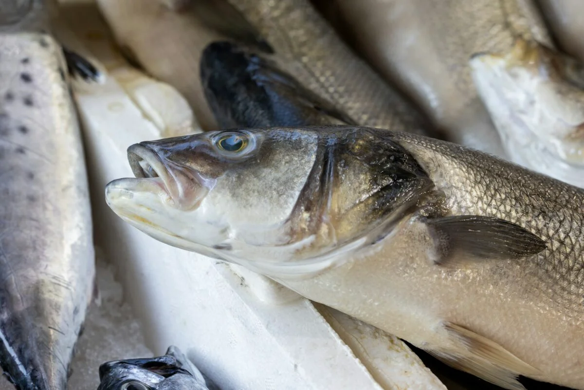Ce pește e la fel de sănătos ca somonul, dar de 10 ori mai ieftin. Puțini români îl mai includ în meniu