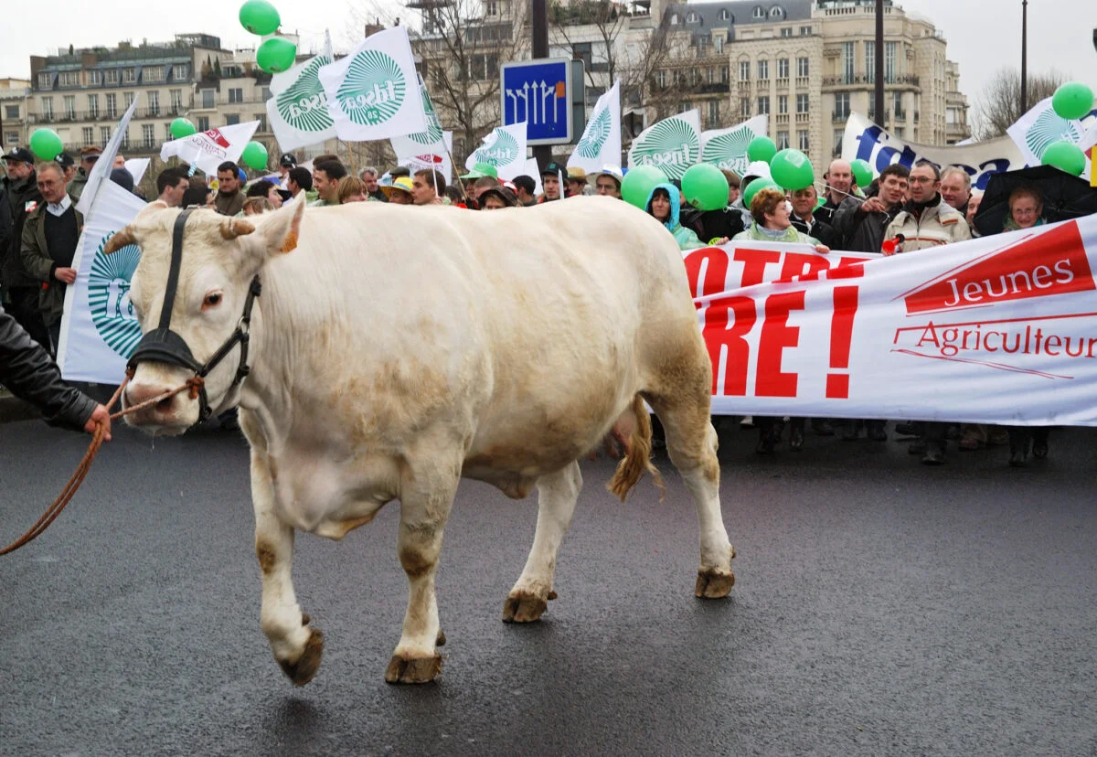 Revolta fermierilor amenință să atragă nemulțumiri, în acest an electoral, în întreaga lume