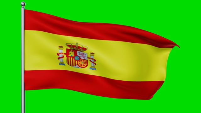 steag Spania 