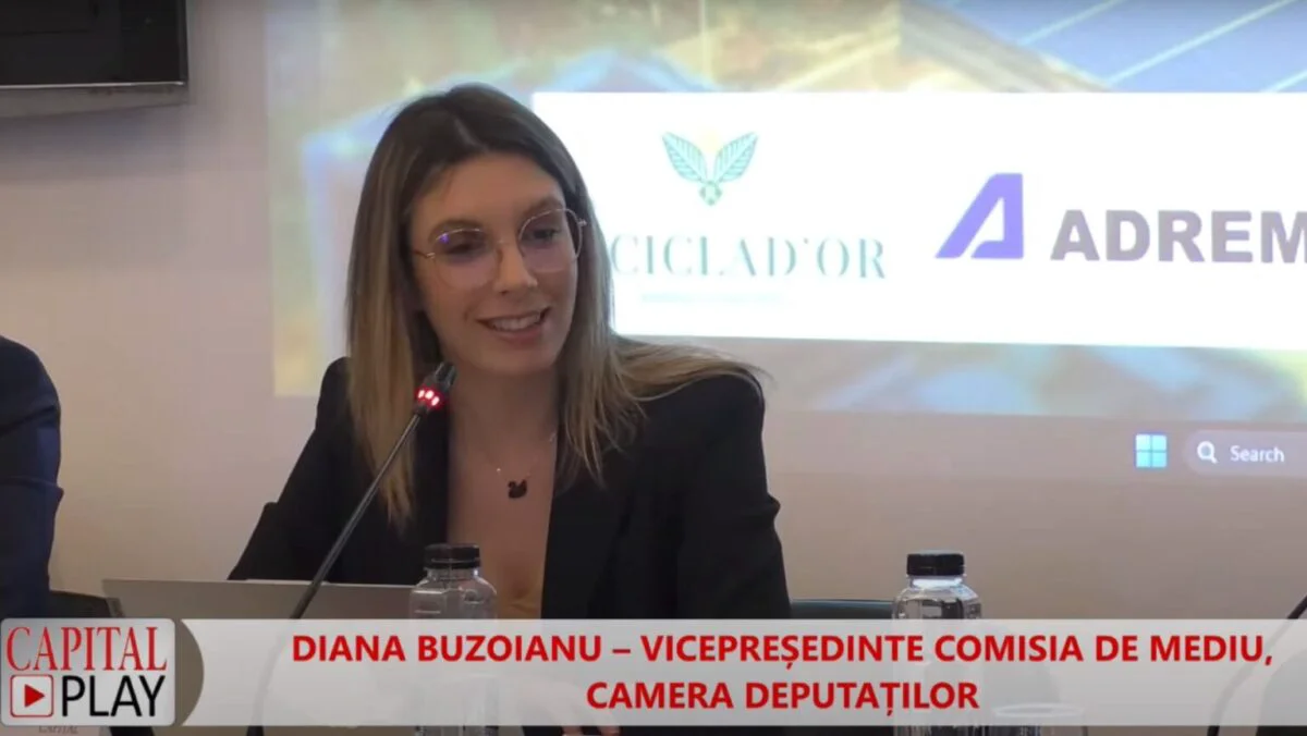 Deputatul Diana Buzoianu: „Anul trecut, 20 de milioane de metri cubi de lemn tăiat din pădurile românești nu au avut acte în regulă“