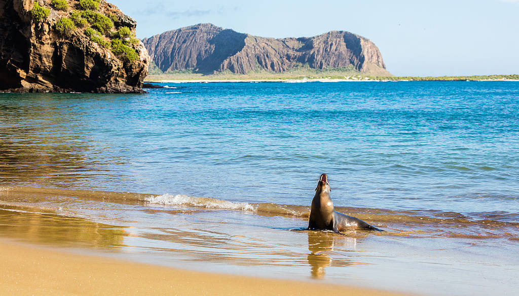 Taxa de acces se va dubla în Galapagos