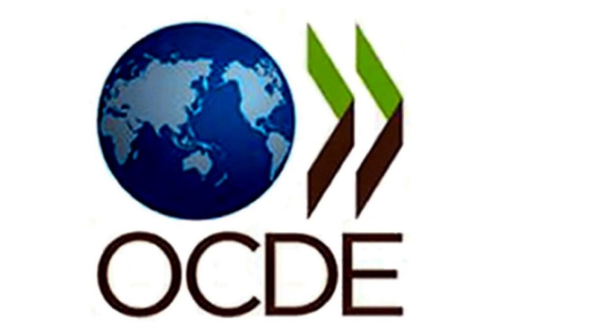 OCDE lansează Studiul Economic 2024 pentru România. Aderarea, lansată de Cabinetul Ciucă