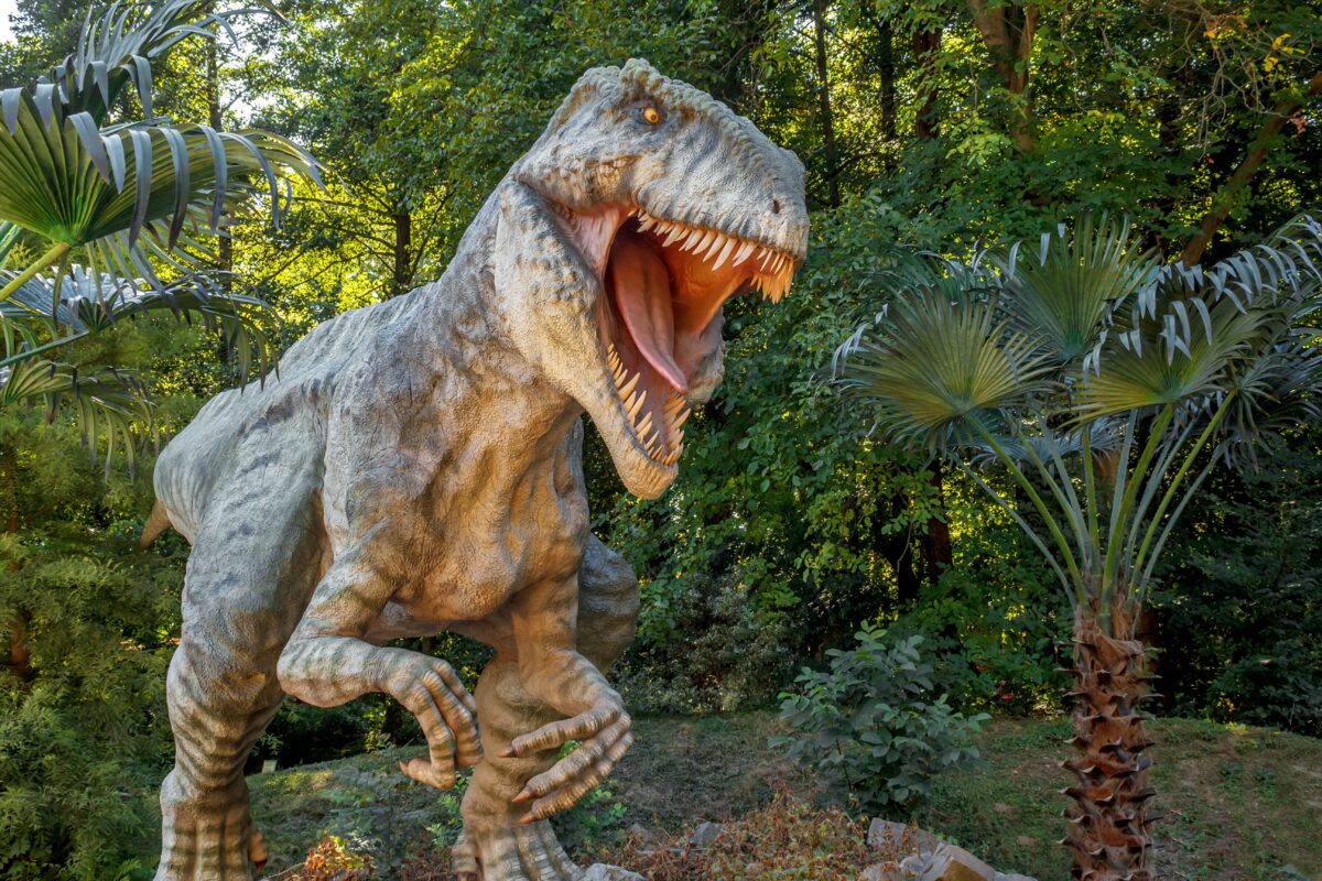 Nebunie cu costume T-Rex în Japonia