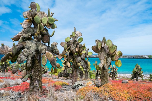 Taxa de acces se va dubla în Galapagos