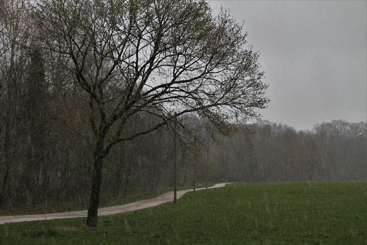 Ploi în jumătatea de nord din Republica Moldova. Temperaturile rămân ridicate