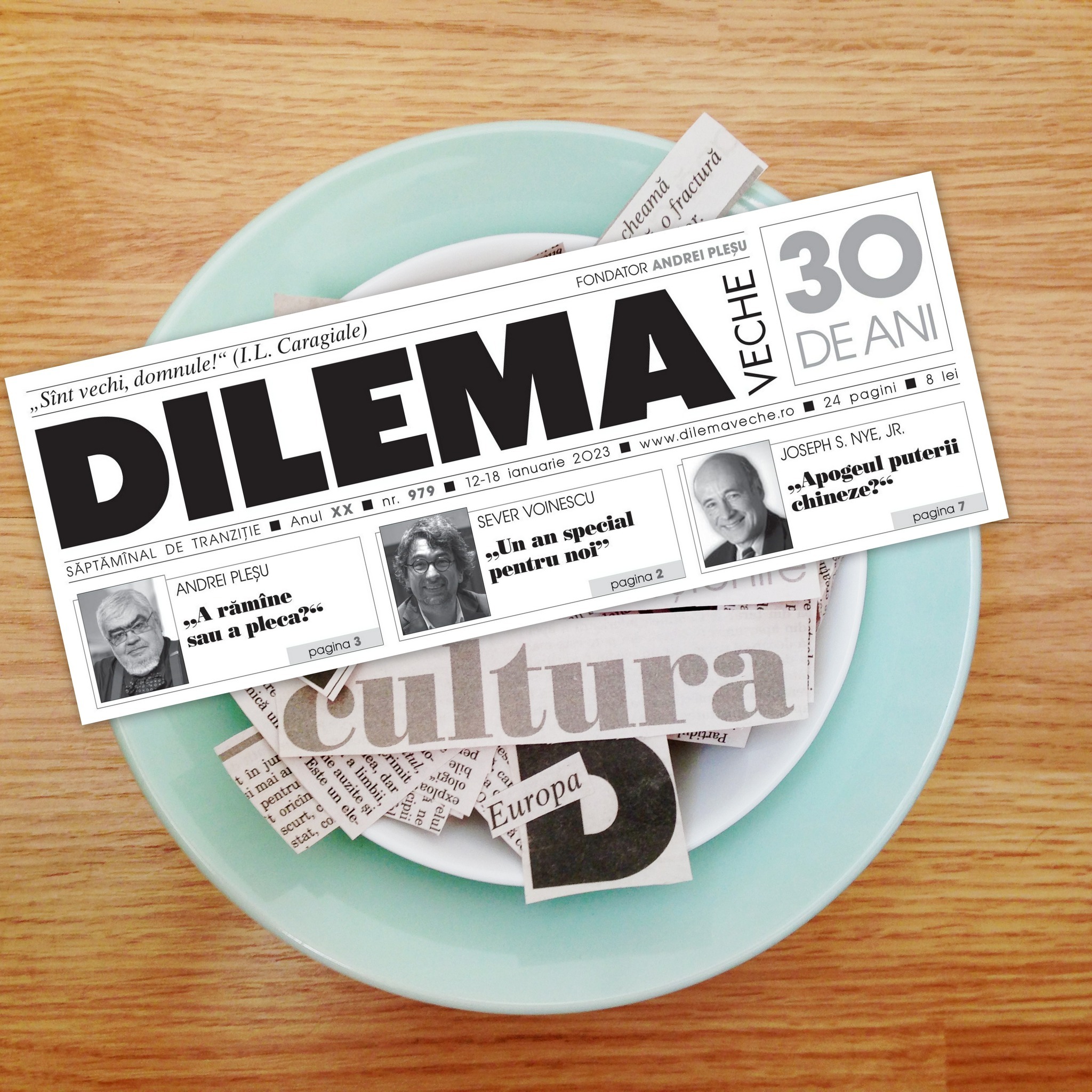 revista dilema