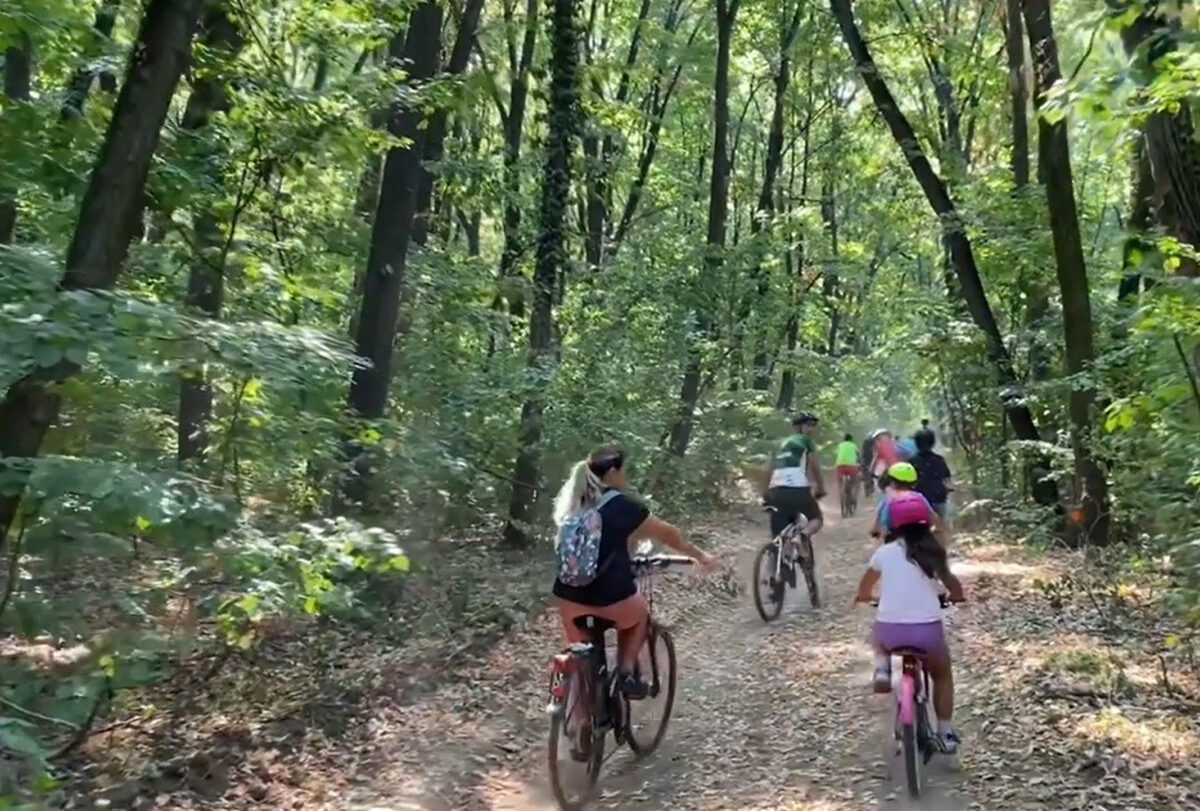 Trasee pentru bicicliști prin păduri. Proiect pentru dezvoltarea turismului ecologic