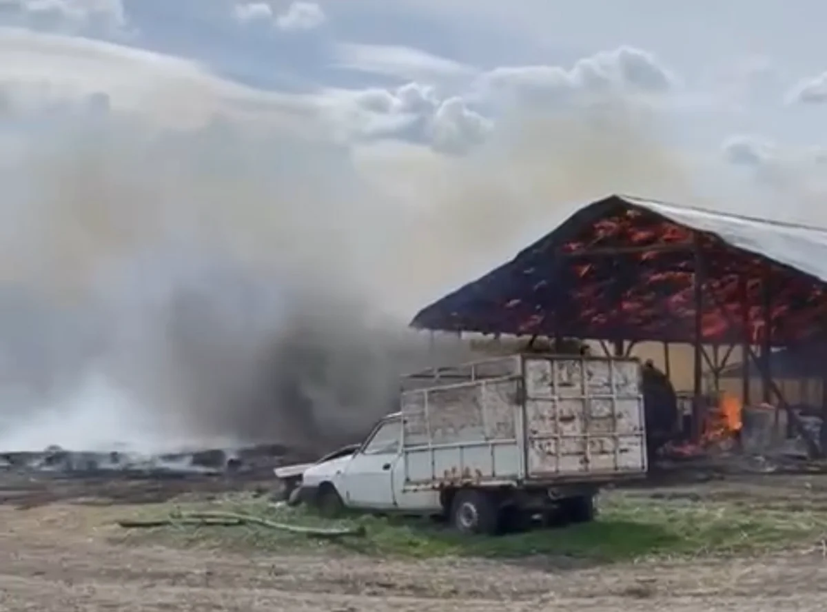 Incendiu la o fermă din Botoșani. Zeci de animale au pierit în flăcări