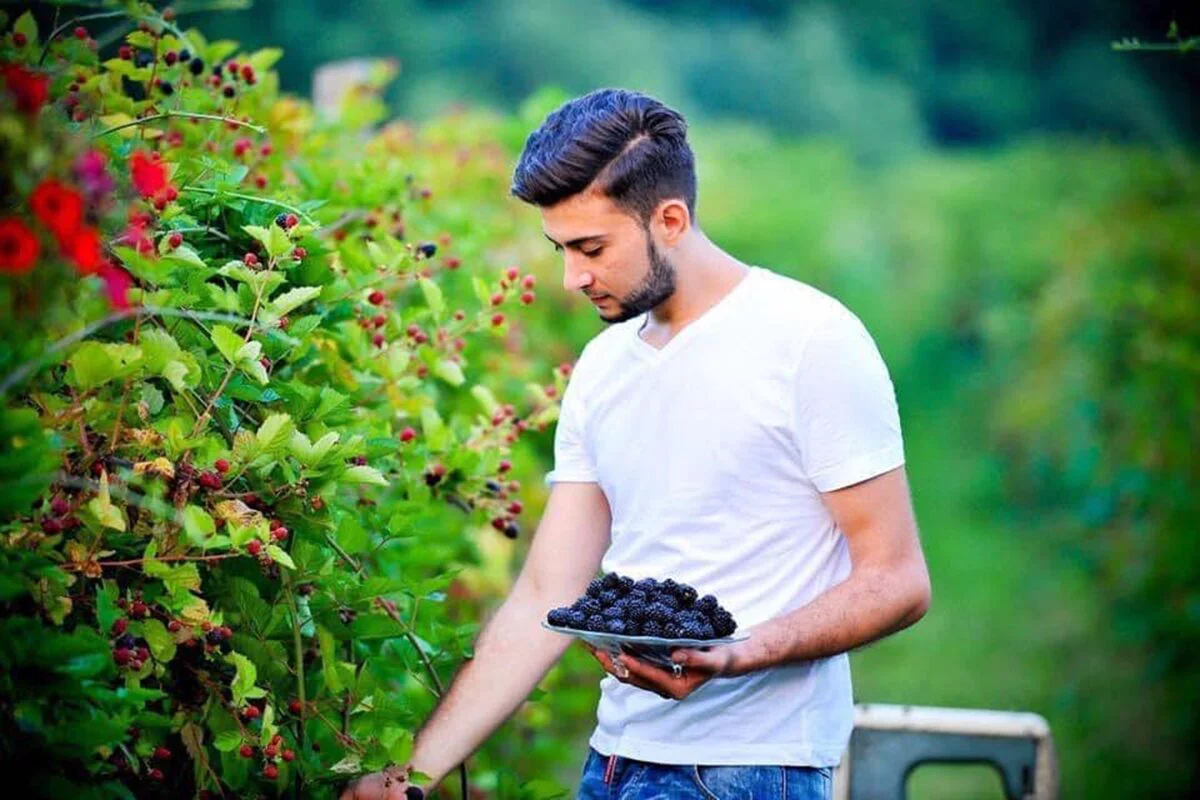 Povești de antreprenori: Ionel Burtea a început cu un hectar de fructe de pădure și a ajuns la afaceri de peste 8 milioane de euro