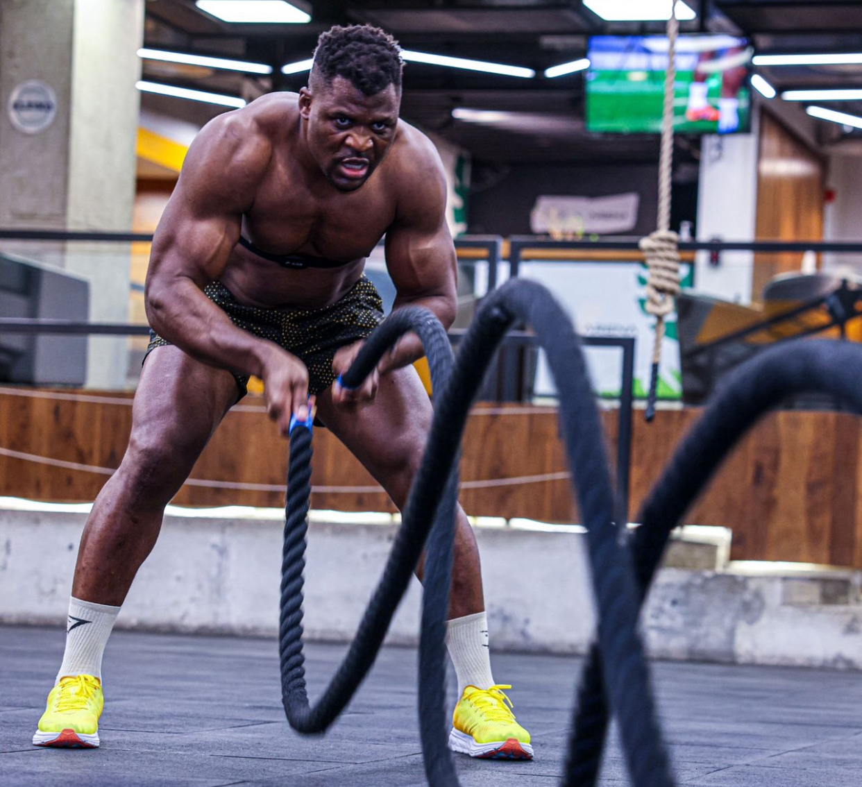 francis Ngannou