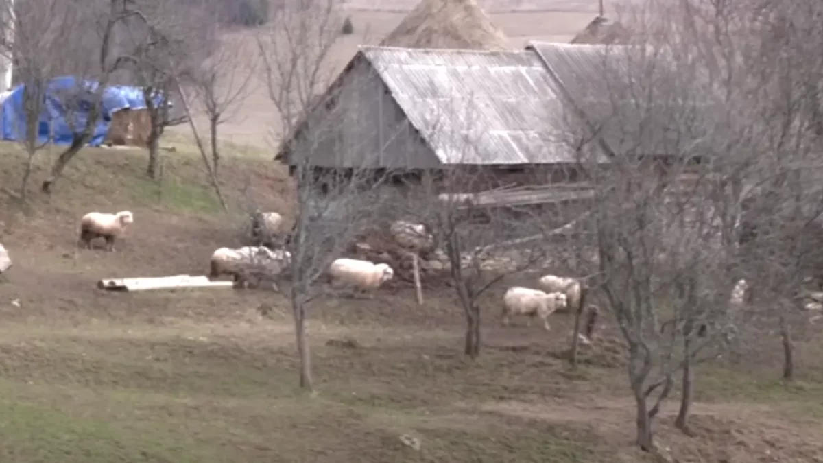 Localitatea din România în care mai sunt doar 7 oamenii. Mai e un pas până la dispariție