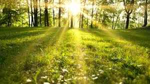 Val de căldură, urmat de ploi. Cum se schimbă vremea în doar câteva zile