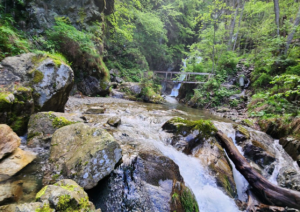 Raiul din Munții Retezat. Peisaje desprinse din povești și cascade spectaculoase