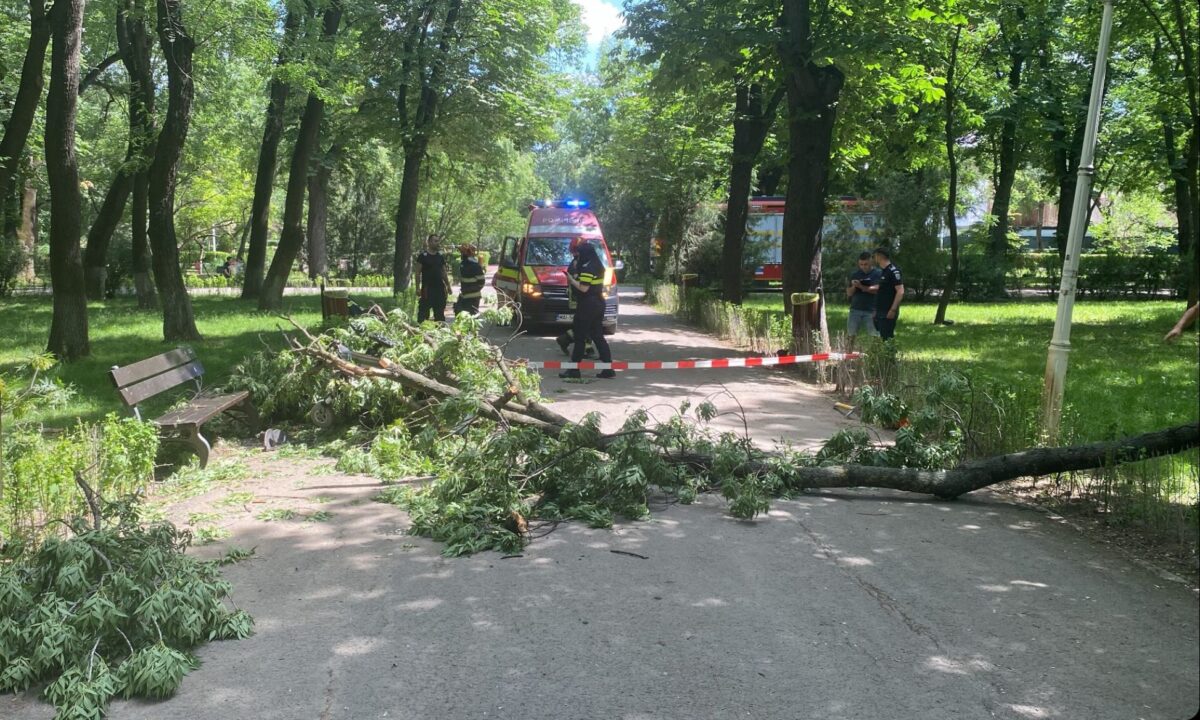 Tânăra lovită de copacul căzut în Parcul Bazilescu, în stare critică. A suferit o fractură craniană