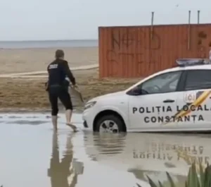 Doi agenți de la Poliția Locală Constanța, de râsul României. Video