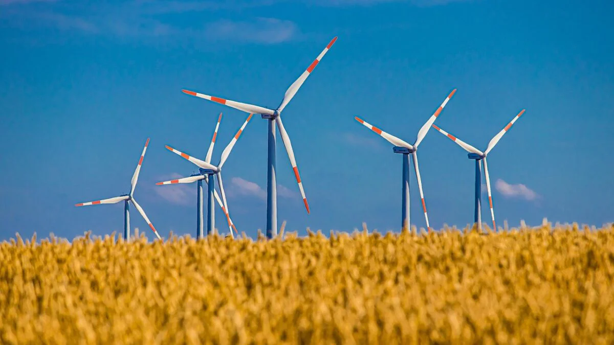 Producția de energie eoliană în UE, cu 46% mai mare
