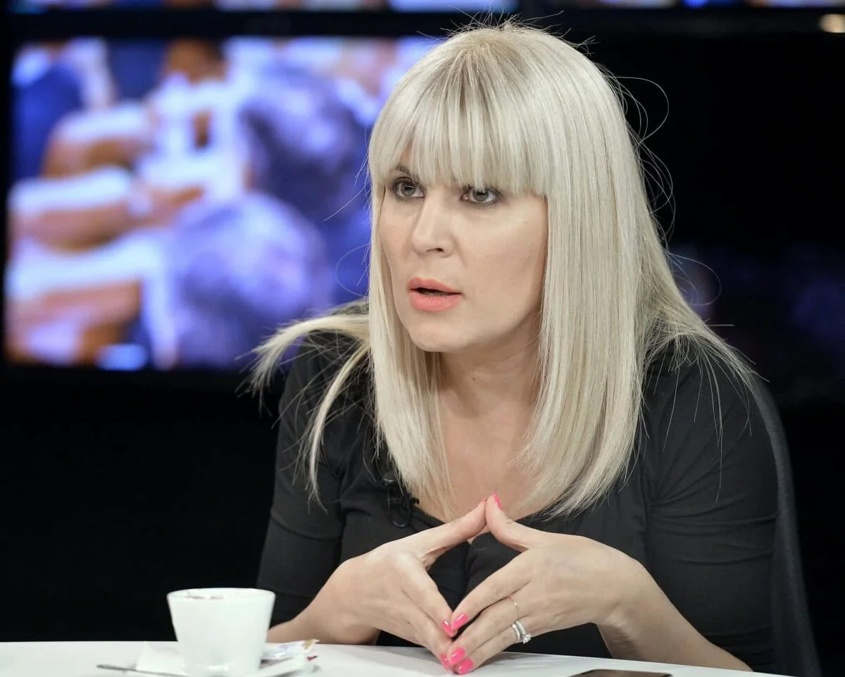 Elena Udrea ar putea fi eliberată. Decizia va fi definitivă