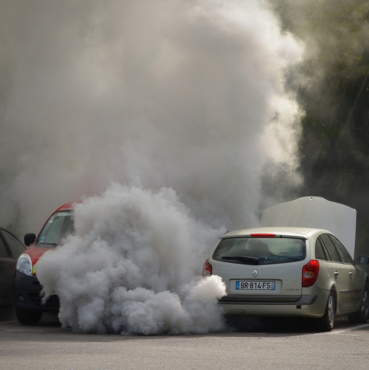 Despăgubiri pentru cetățenii UE care respiră aer poluat. Au fost stabilite noi standarde pentru calitatea aerului