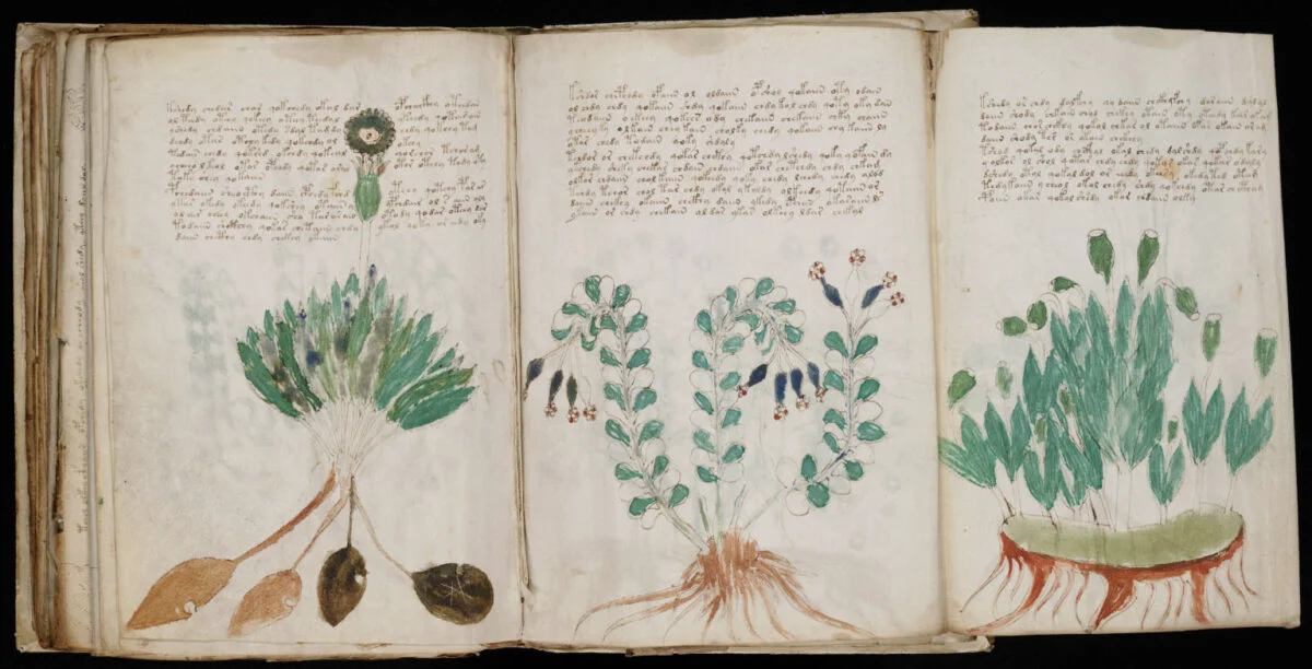 Secretele Manuscrisului Voynich. Codexul indescifrabil scris într-o limbă pierdută
