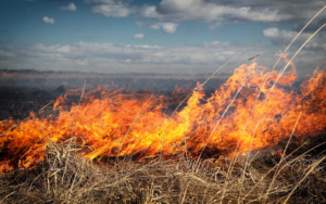 Incendiu puternic lângă București. A fost emis mesaj RO-Alert