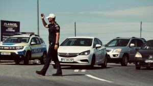 Trafic blocat pe A3. Vacile au rupt gardul de protecție și au ajuns pe carosabil. O persoană a fost rănită
